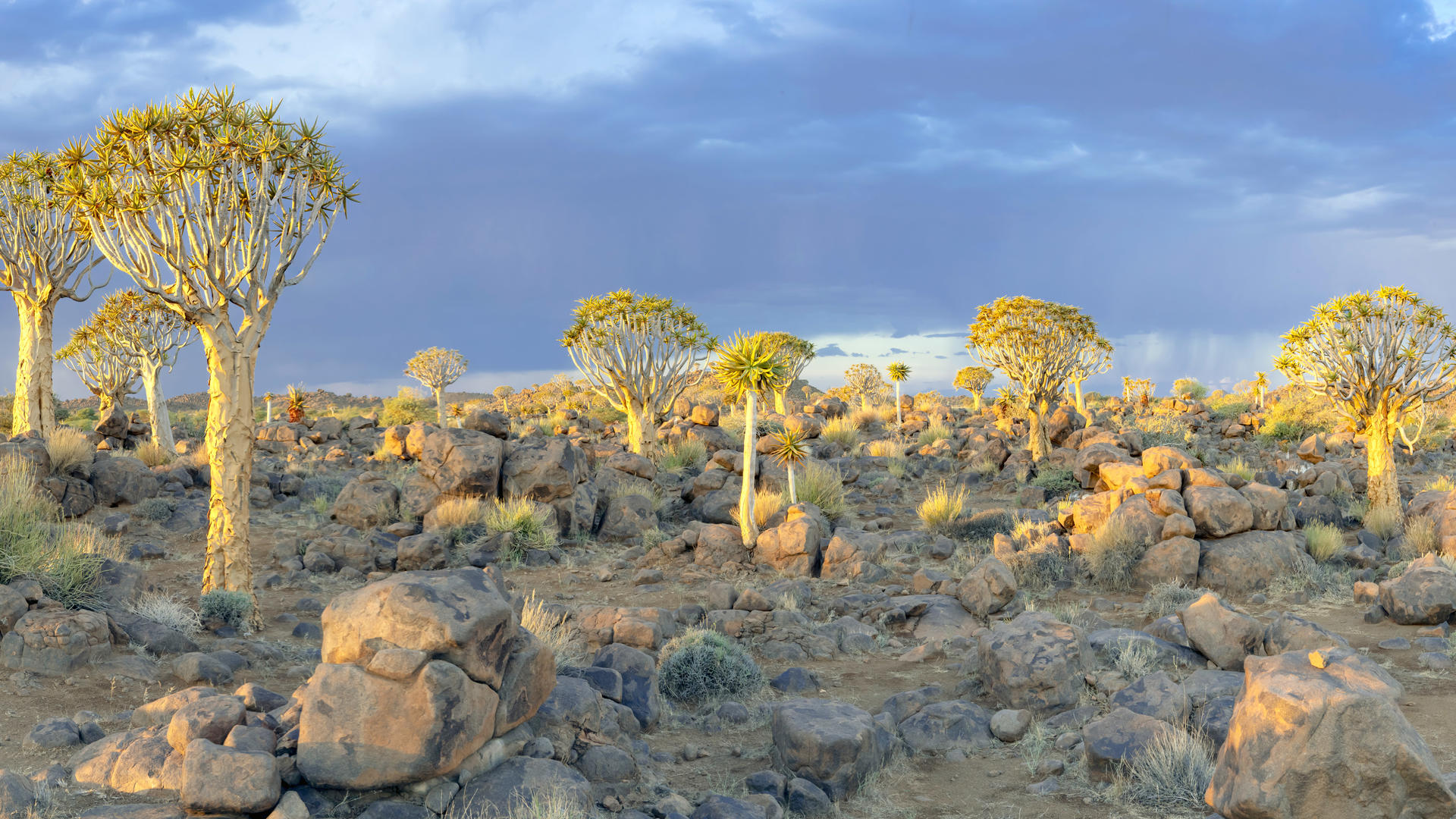 Mesosaurus Fossil Camp view 5