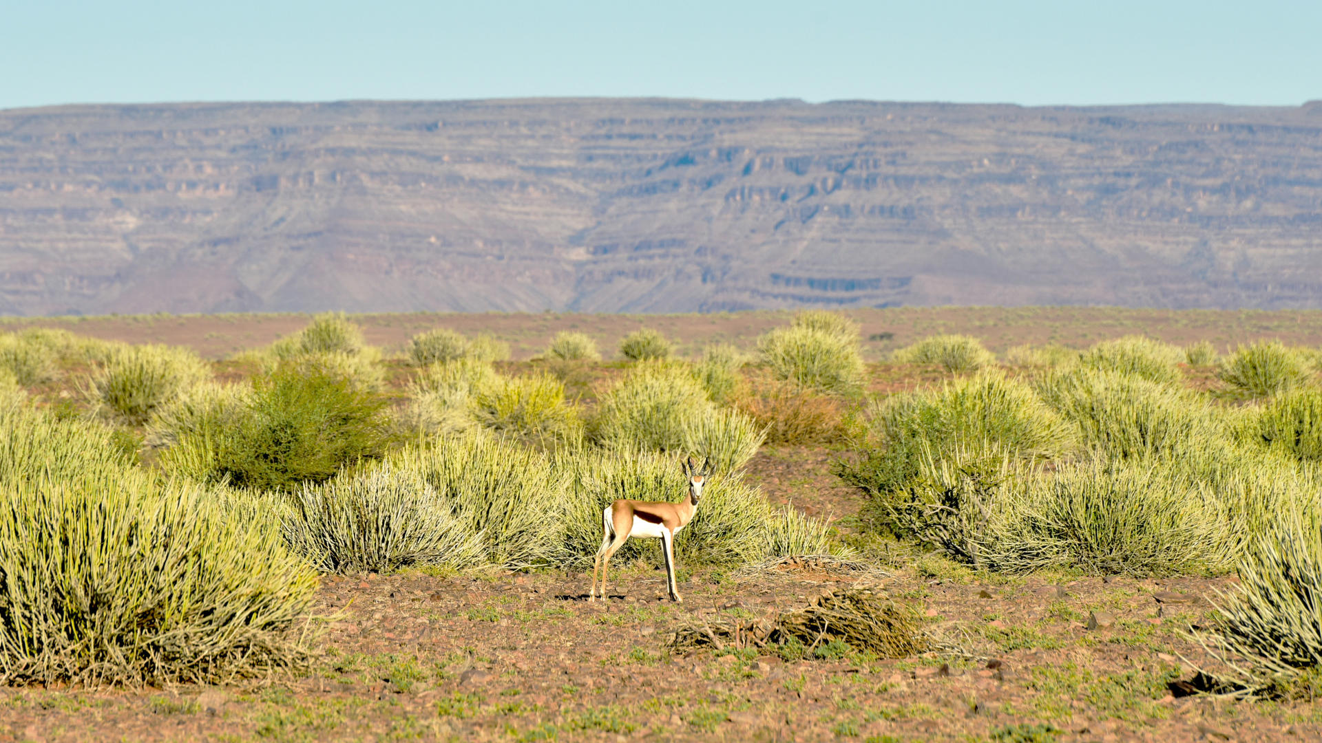 Mesosaurus Fossil Camp view 4
