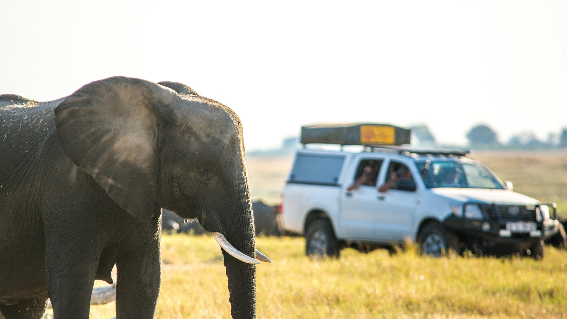 The Chobe Safari Lodge
