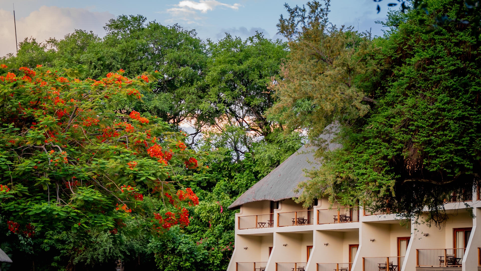 The Chobe Safari Lodge — Luxury Safari Rooms
