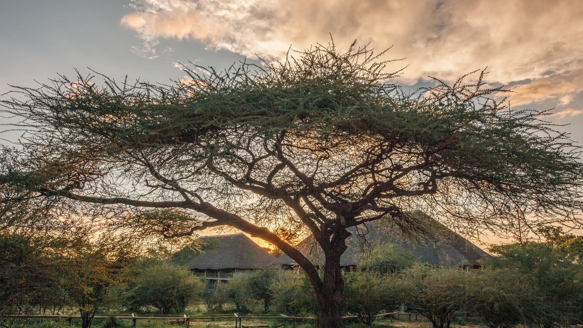 The Chobe Safari Lodge — Luxury Bush Rooms