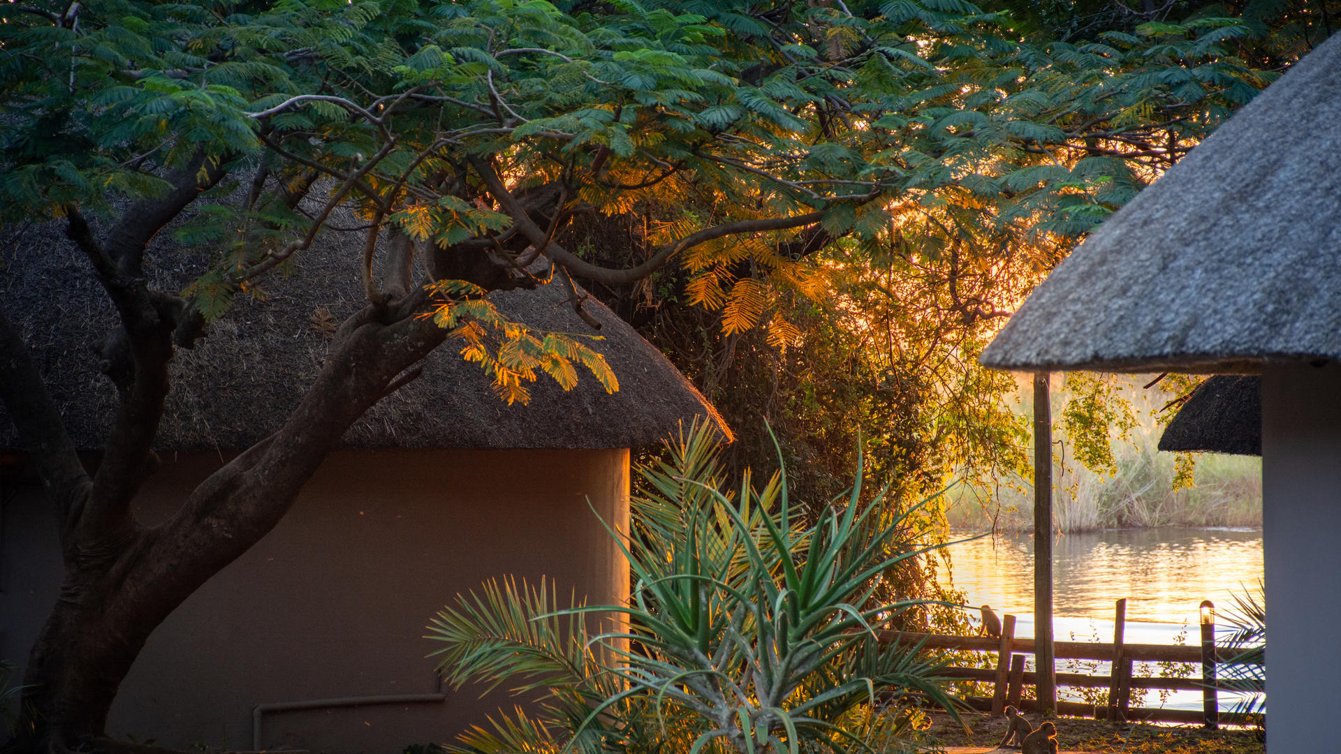 The Chobe Safari Lodge — Luxury Rondavels