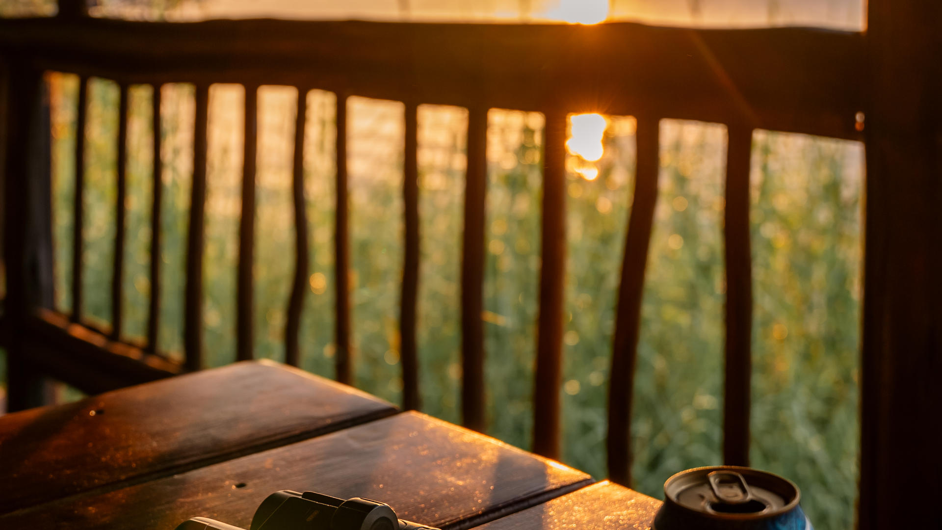 The Chobe Safari Lodge