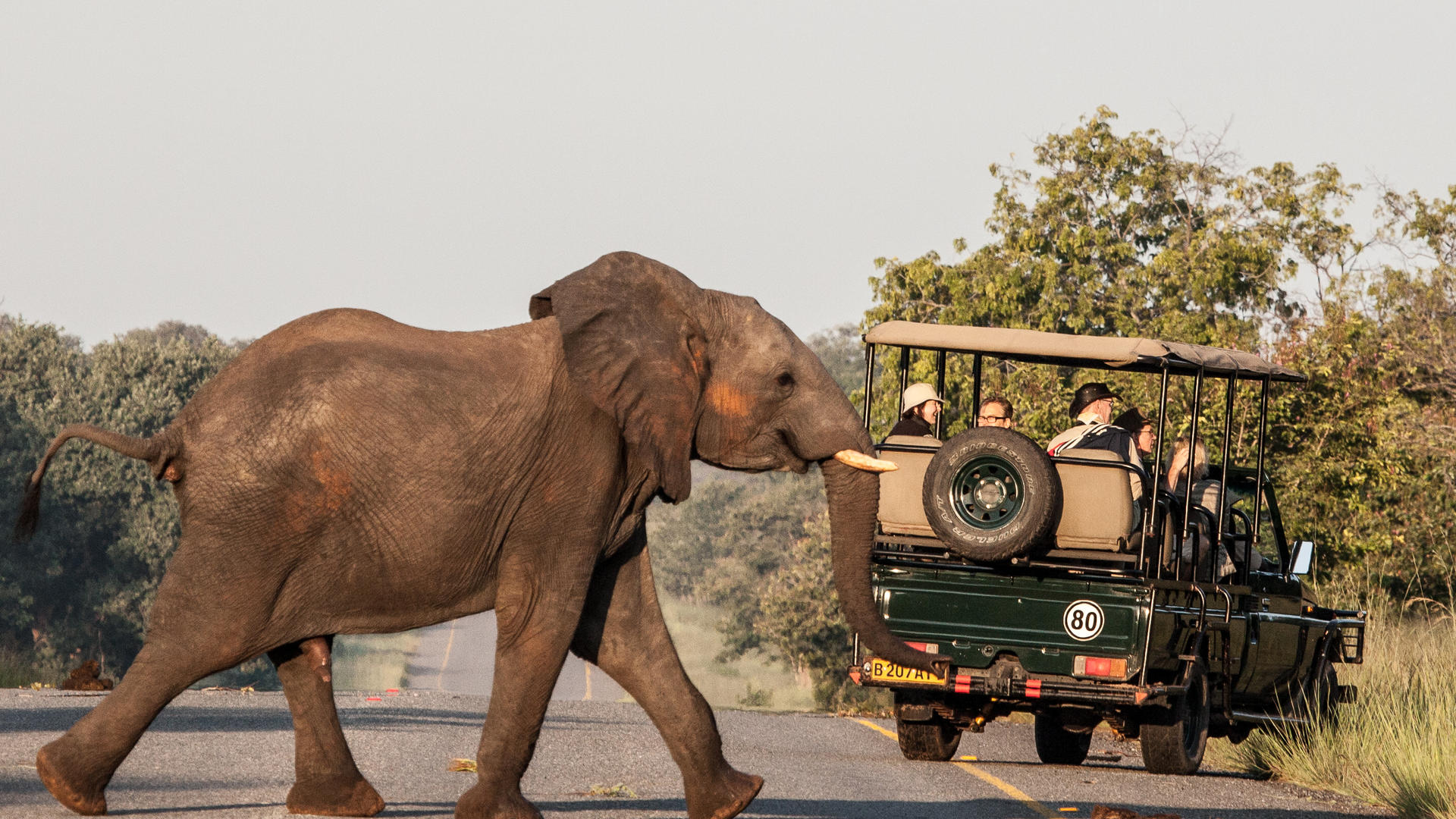 The Chobe Safari Lodge