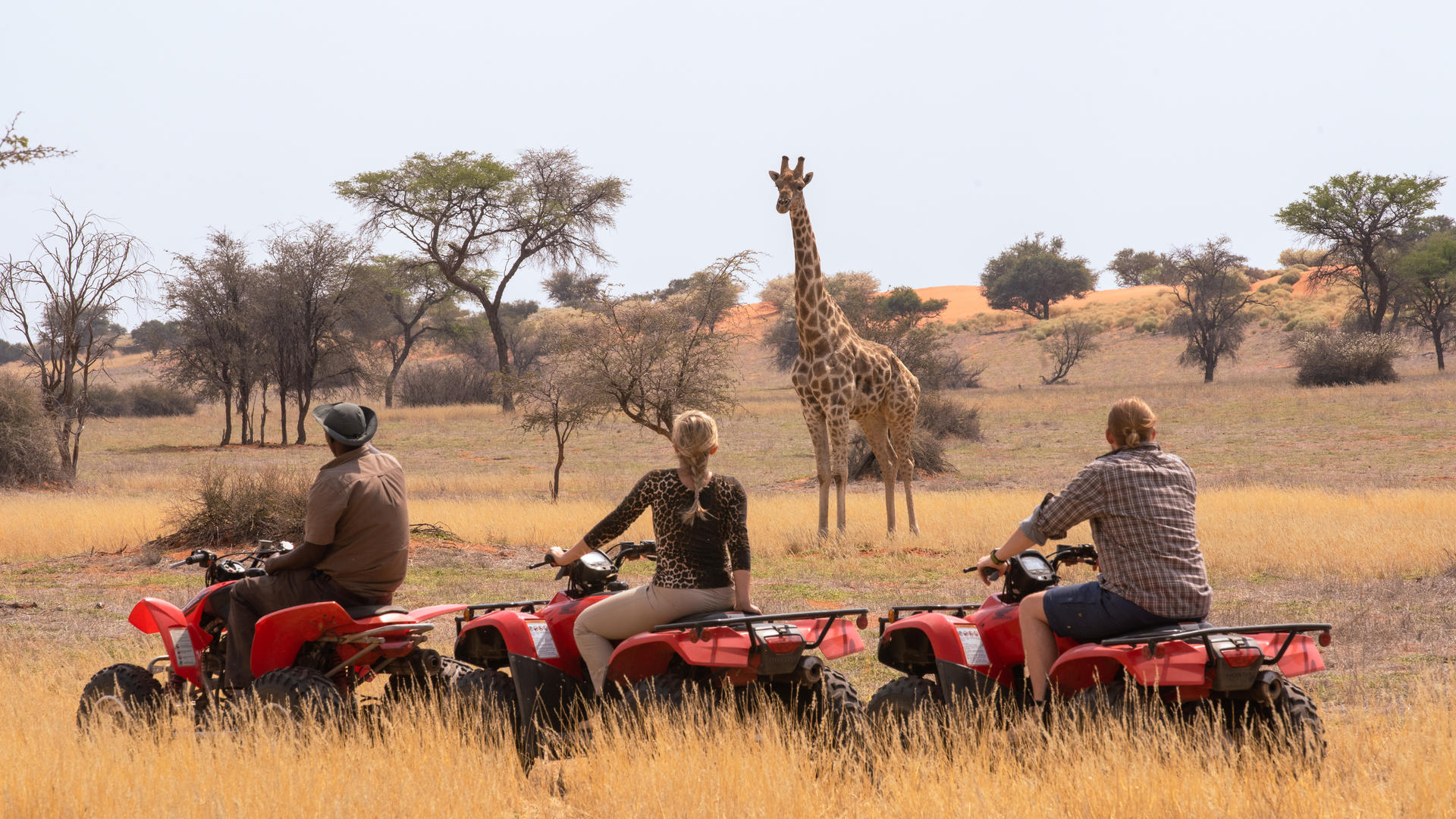 Camelthorn Kalahari Lodge