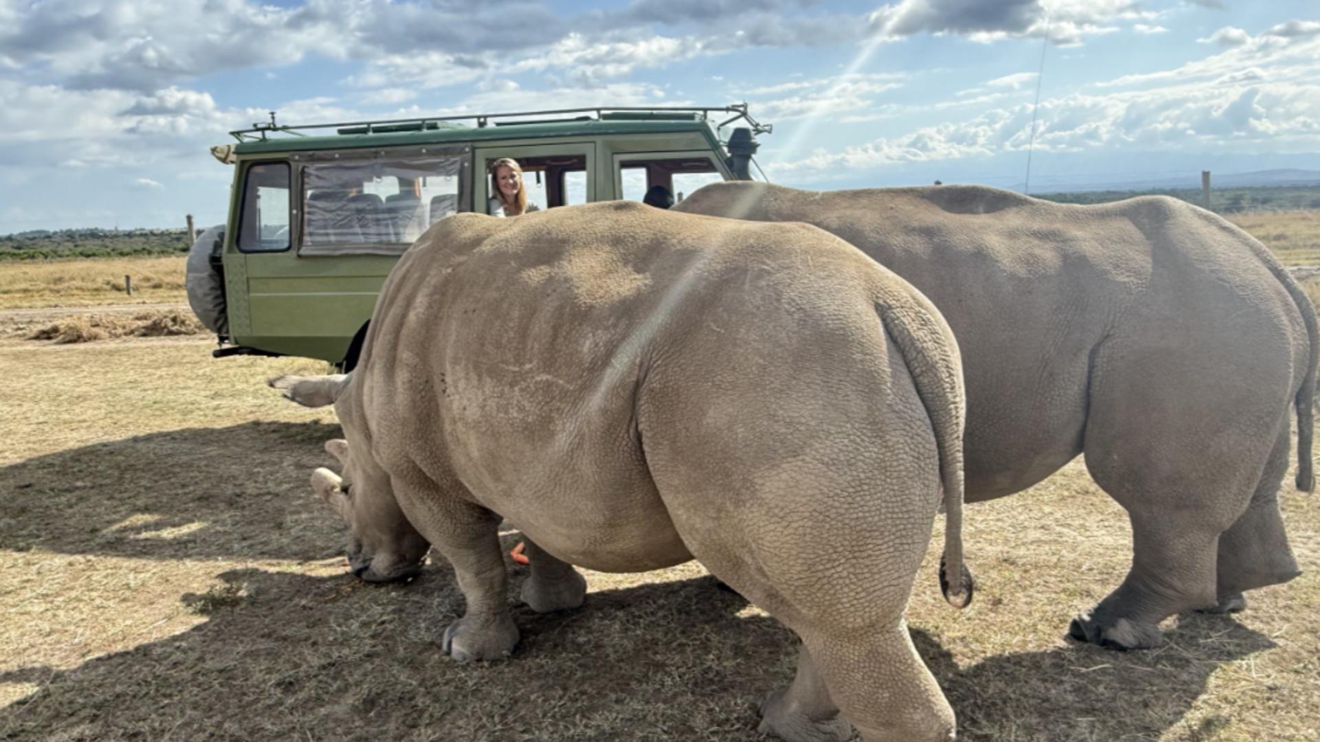 Ol Pejeta Bush Camp