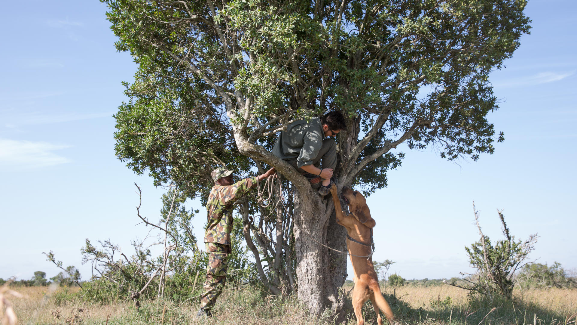 Ol Pejeta Bush Camp