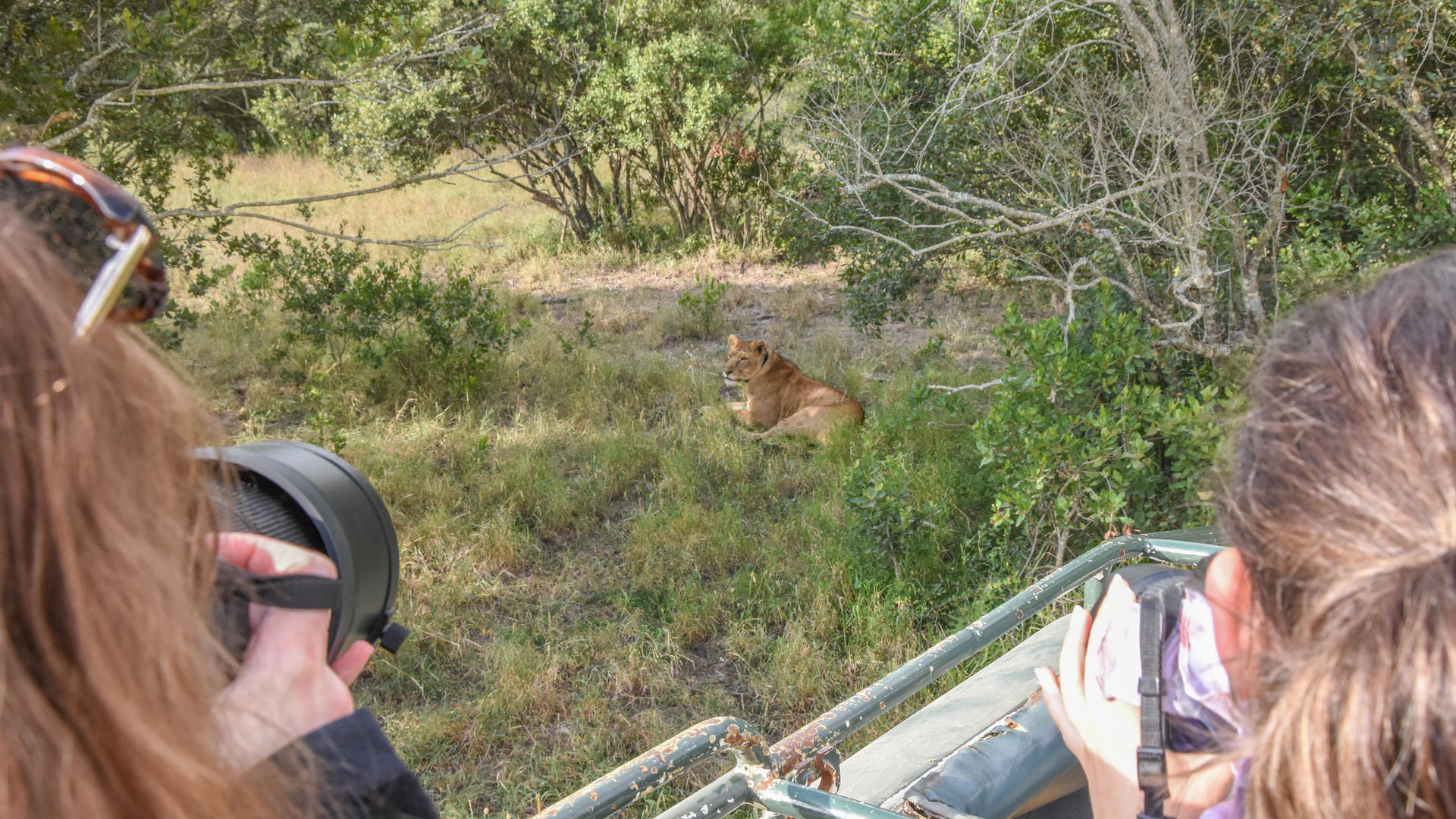 Ol Pejeta Bush Camp