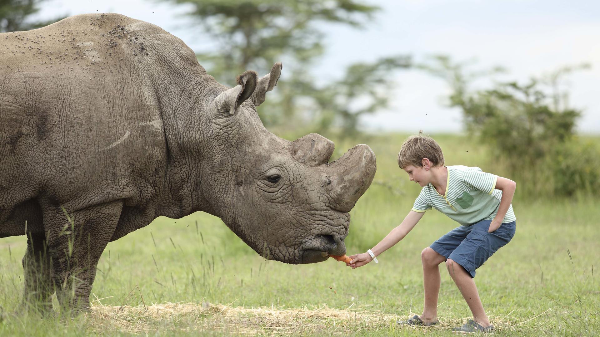 Ol Pejeta Bush Camp
