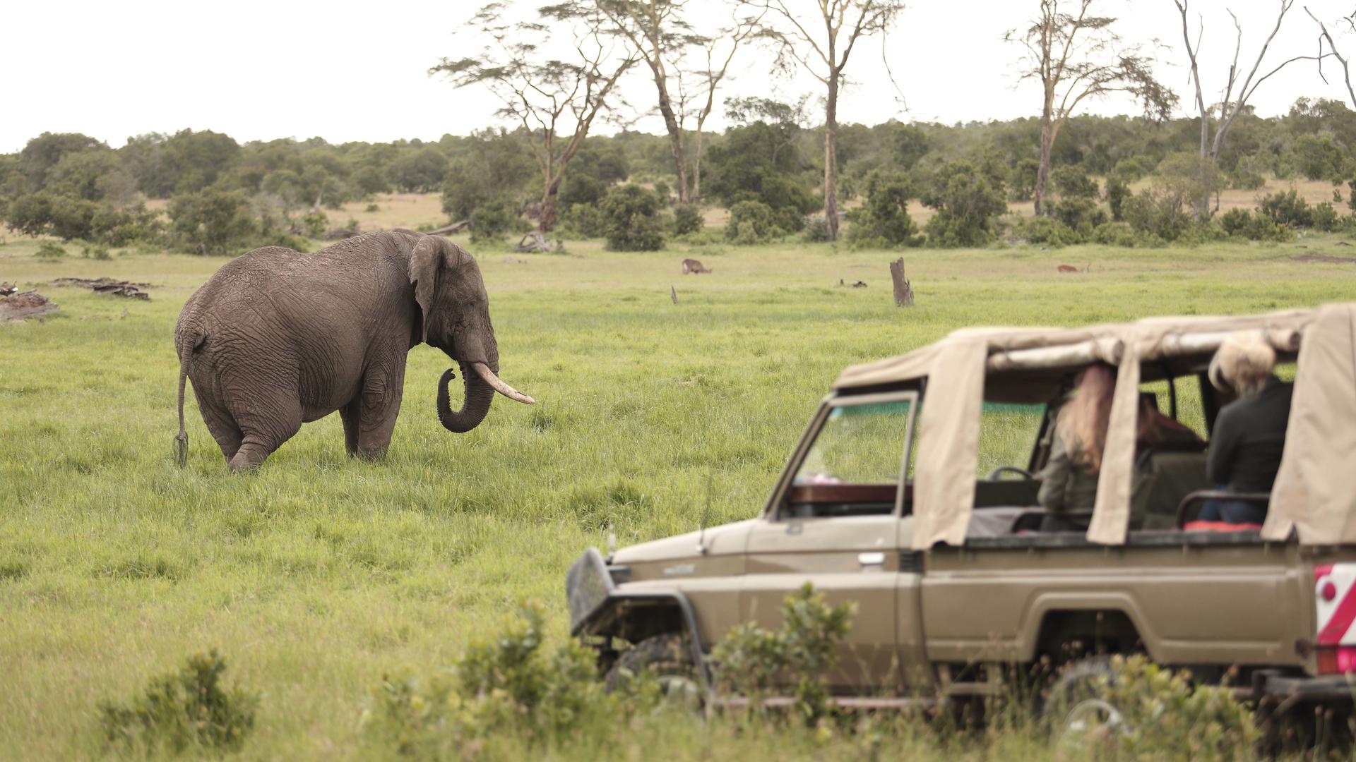 Ol Pejeta Bush Camp