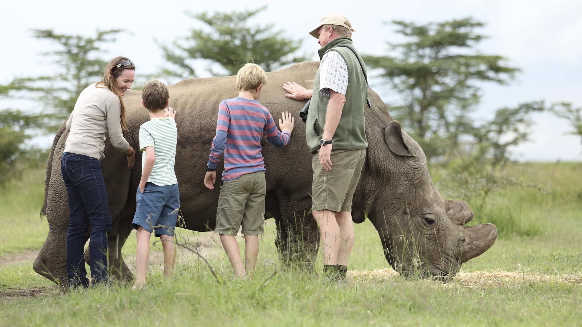 Ol Pejeta Bush Camp