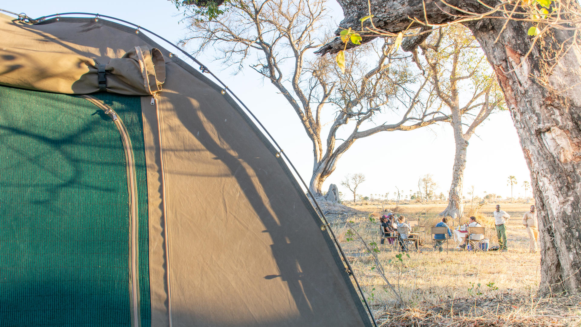 Moremi Crossing