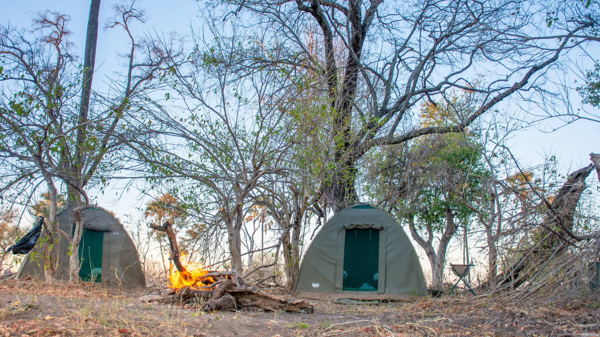 Moremi Crossing