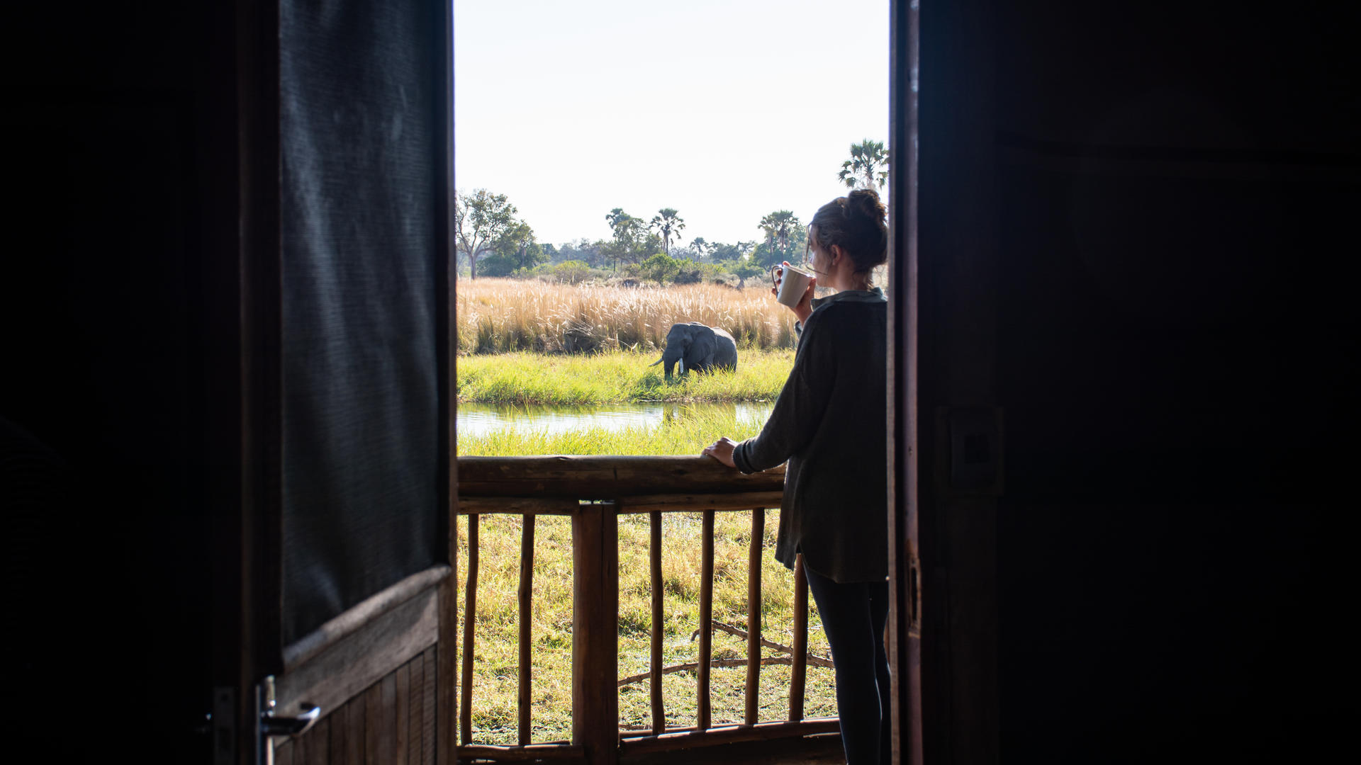 Moremi Crossing
