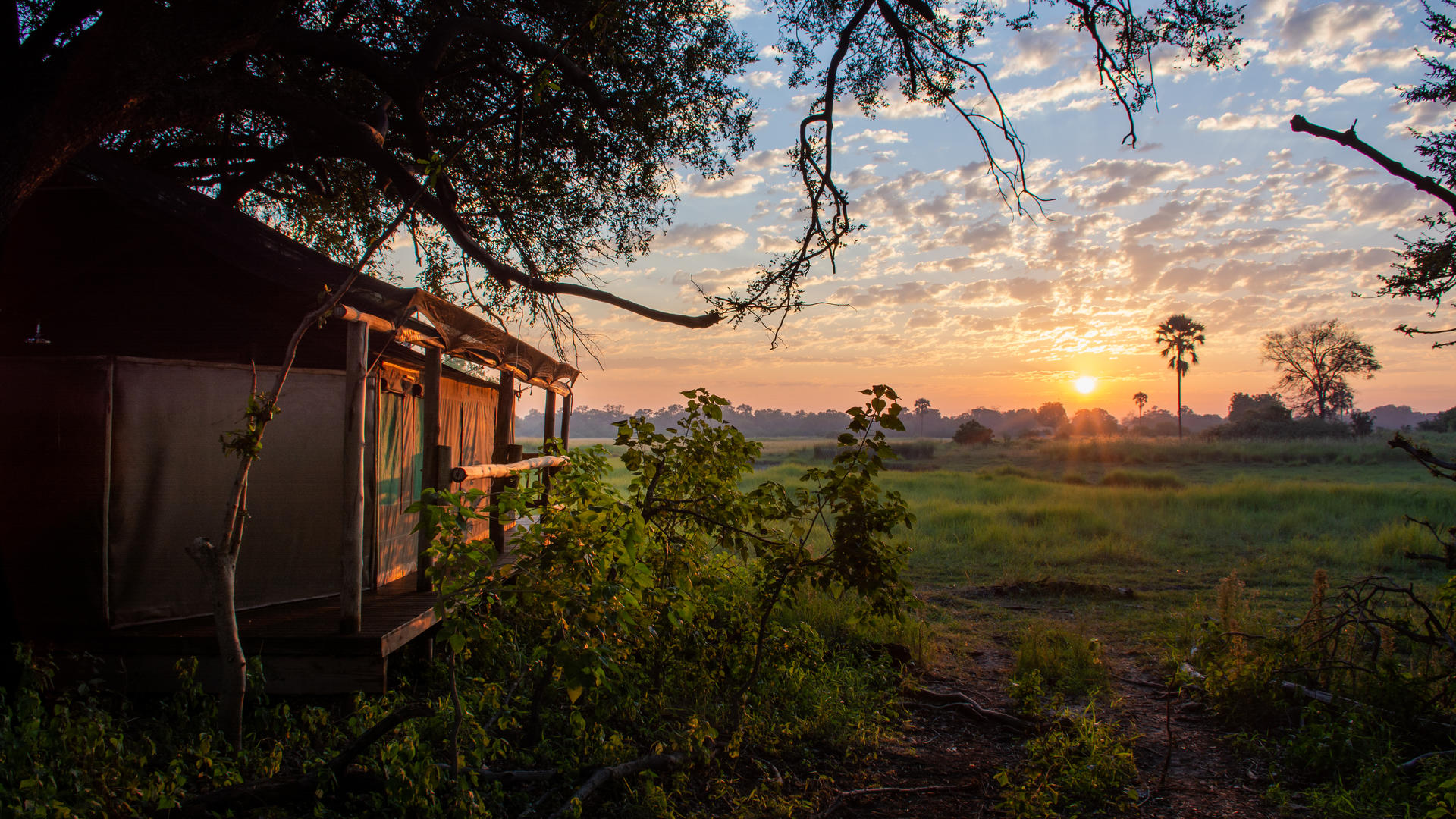 Moremi Crossing