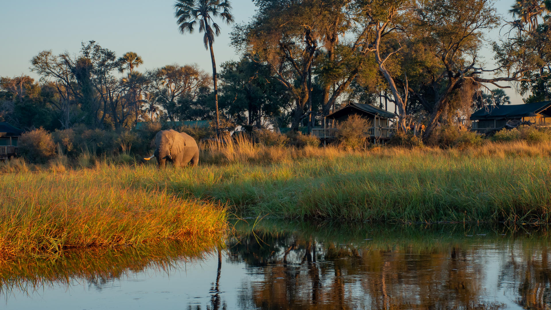Moremi Crossing