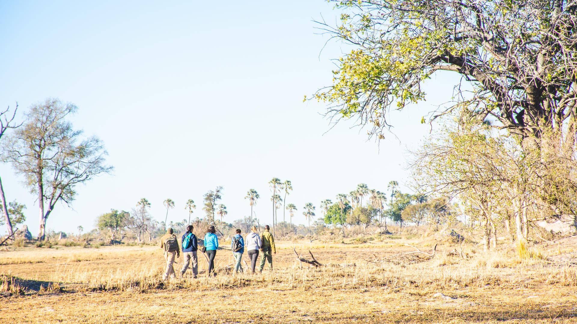 Moremi Crossing