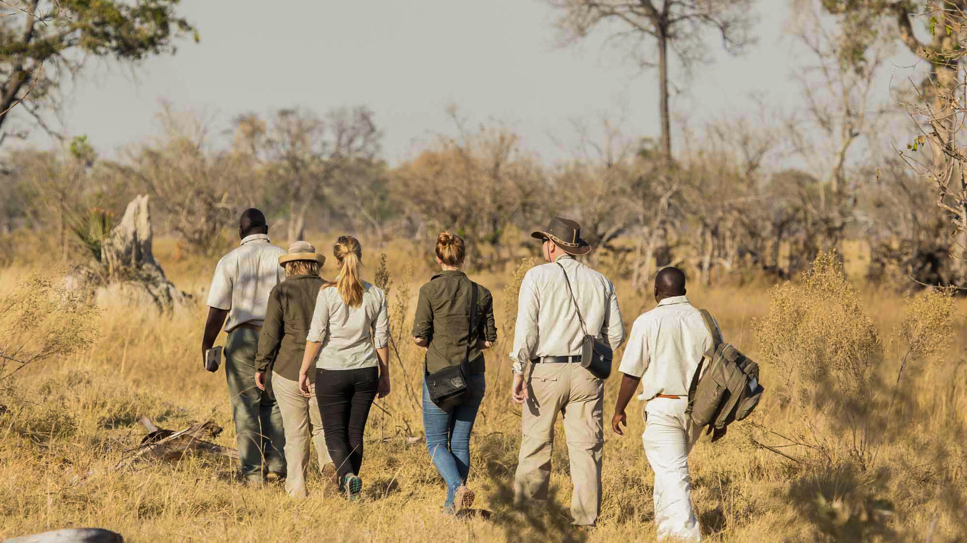 Moremi Crossing