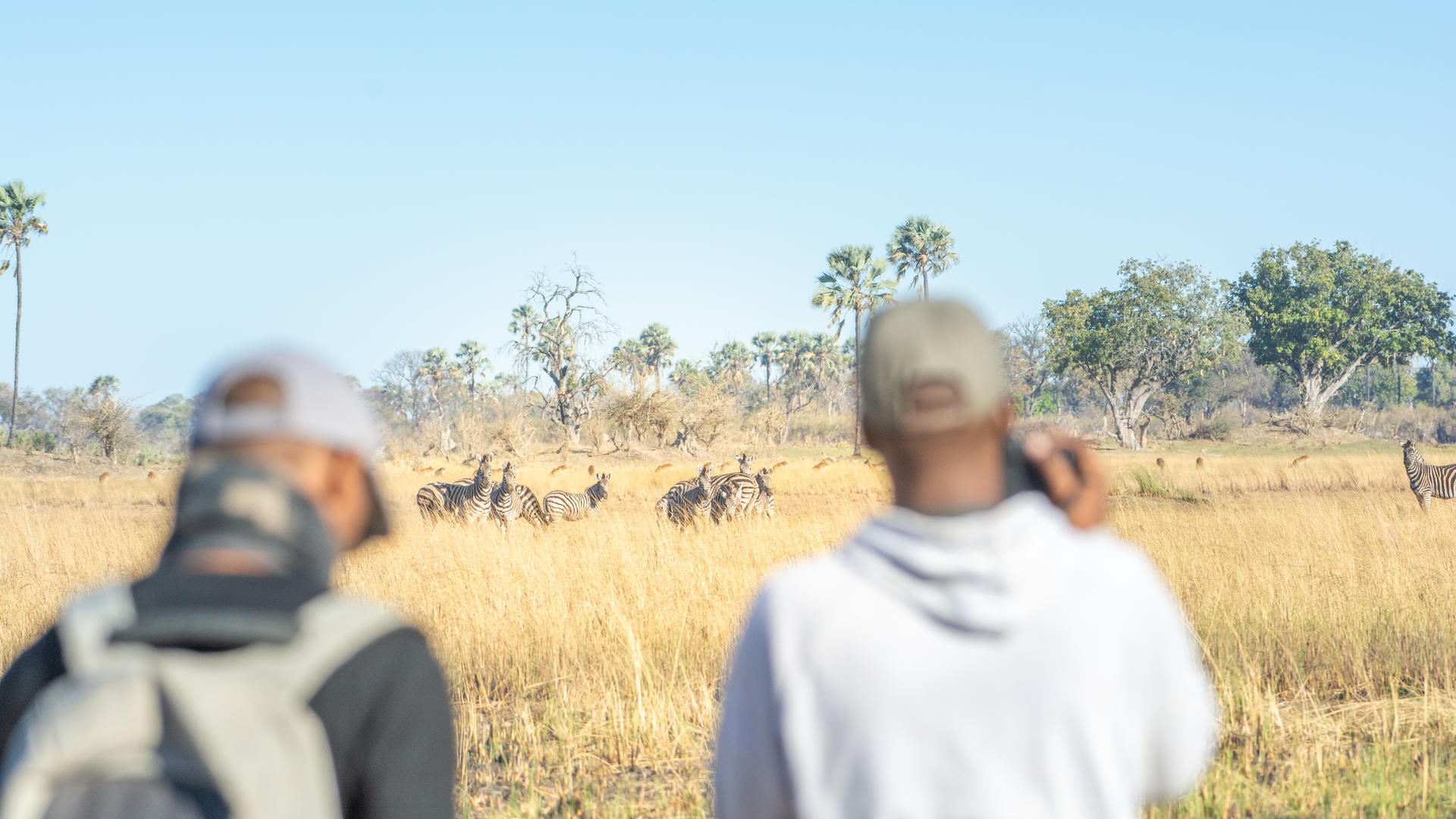 Moremi Crossing