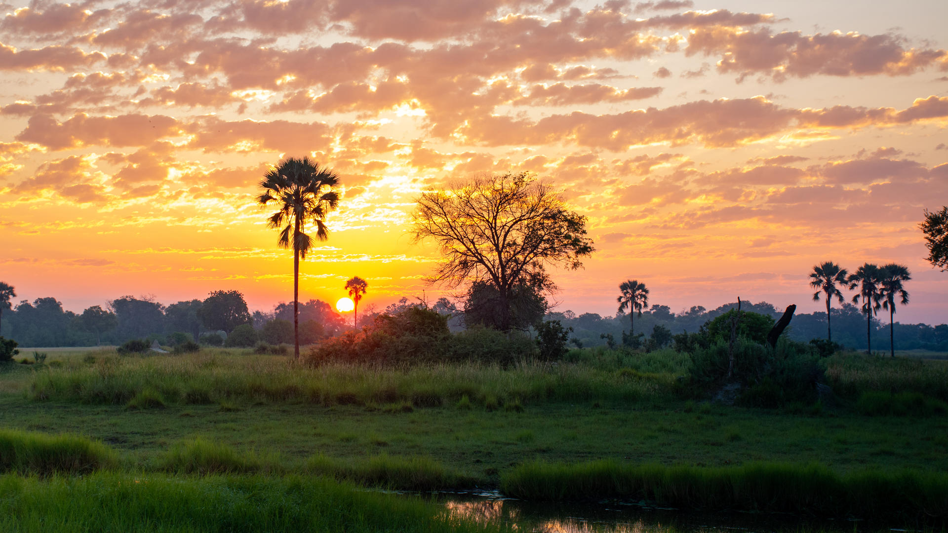 Moremi Crossing