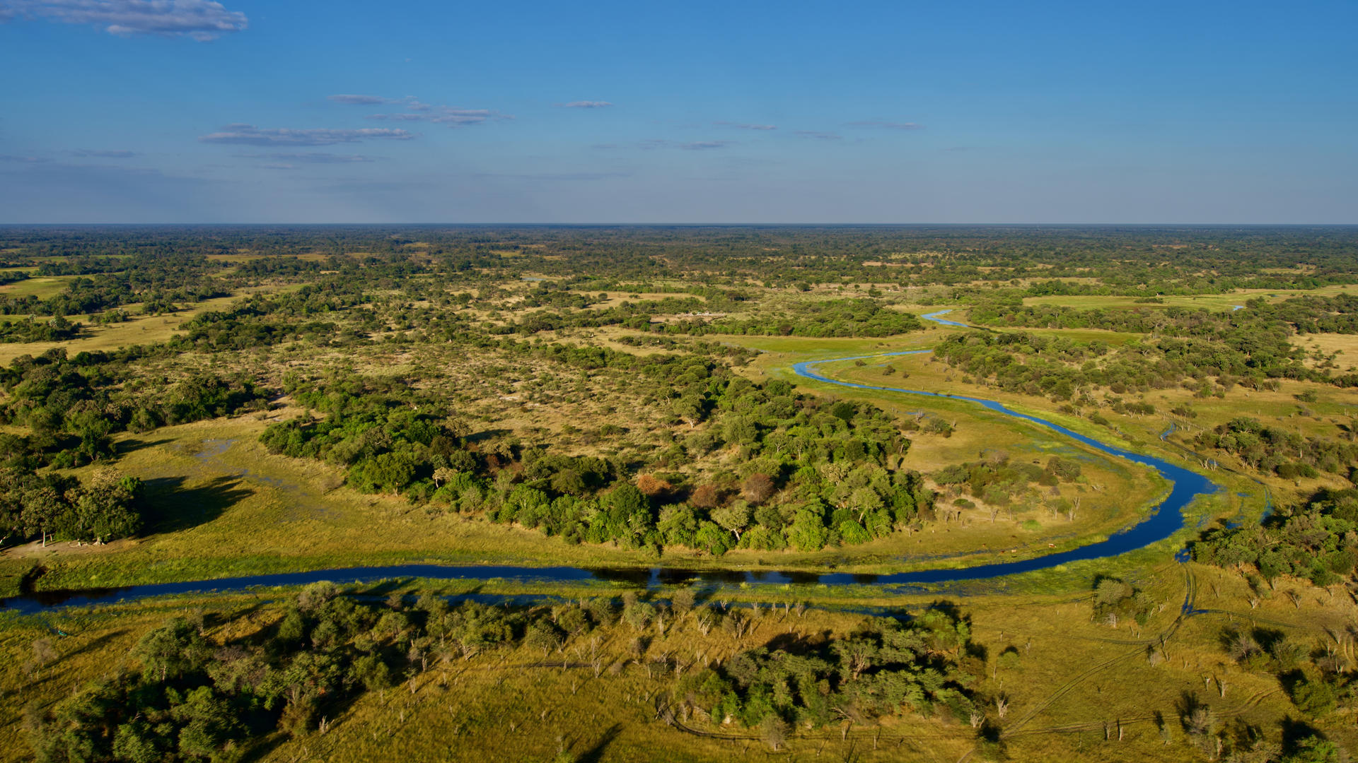 Moremi Crossing