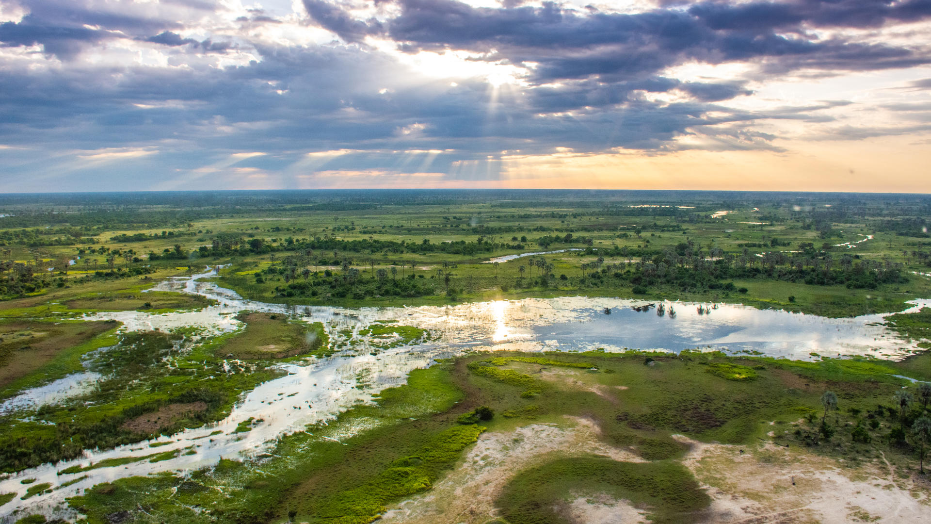 Moremi Crossing