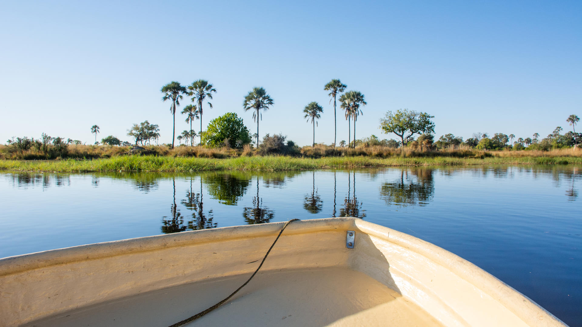 Moremi Crossing