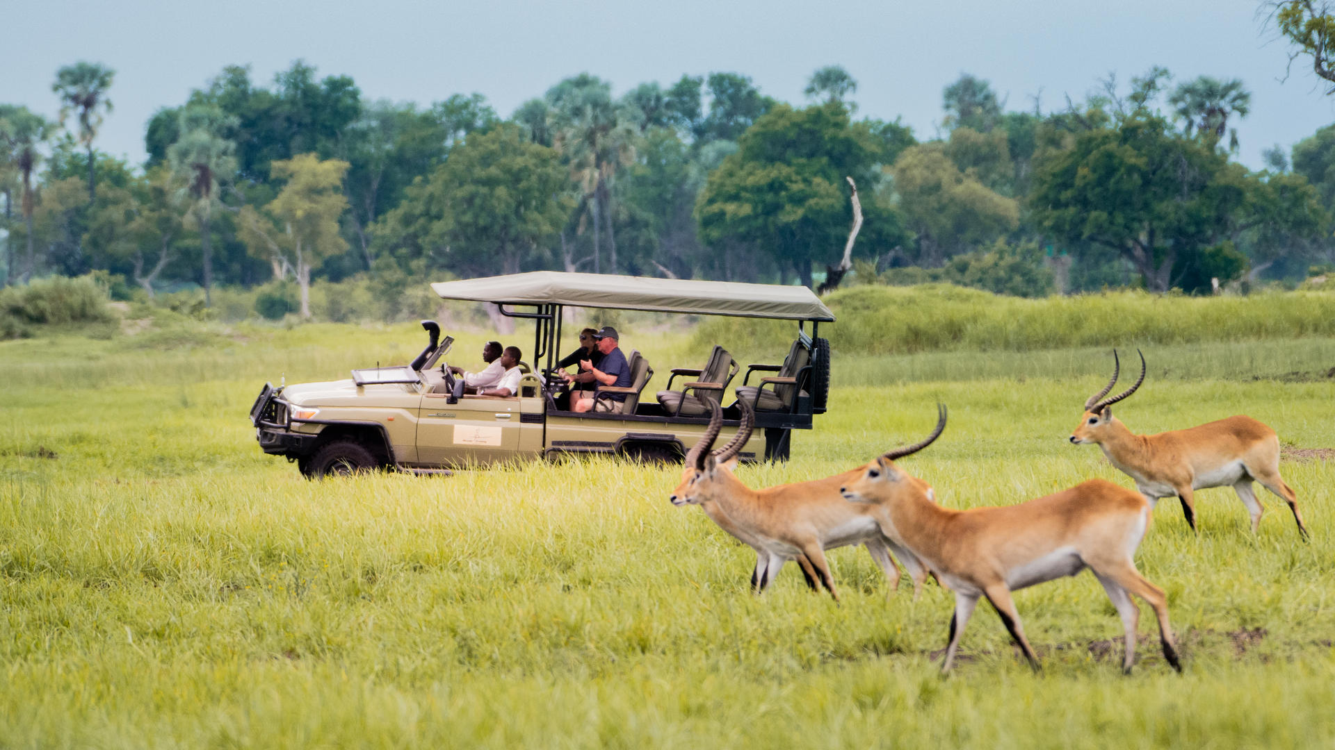 Moremi Crossing