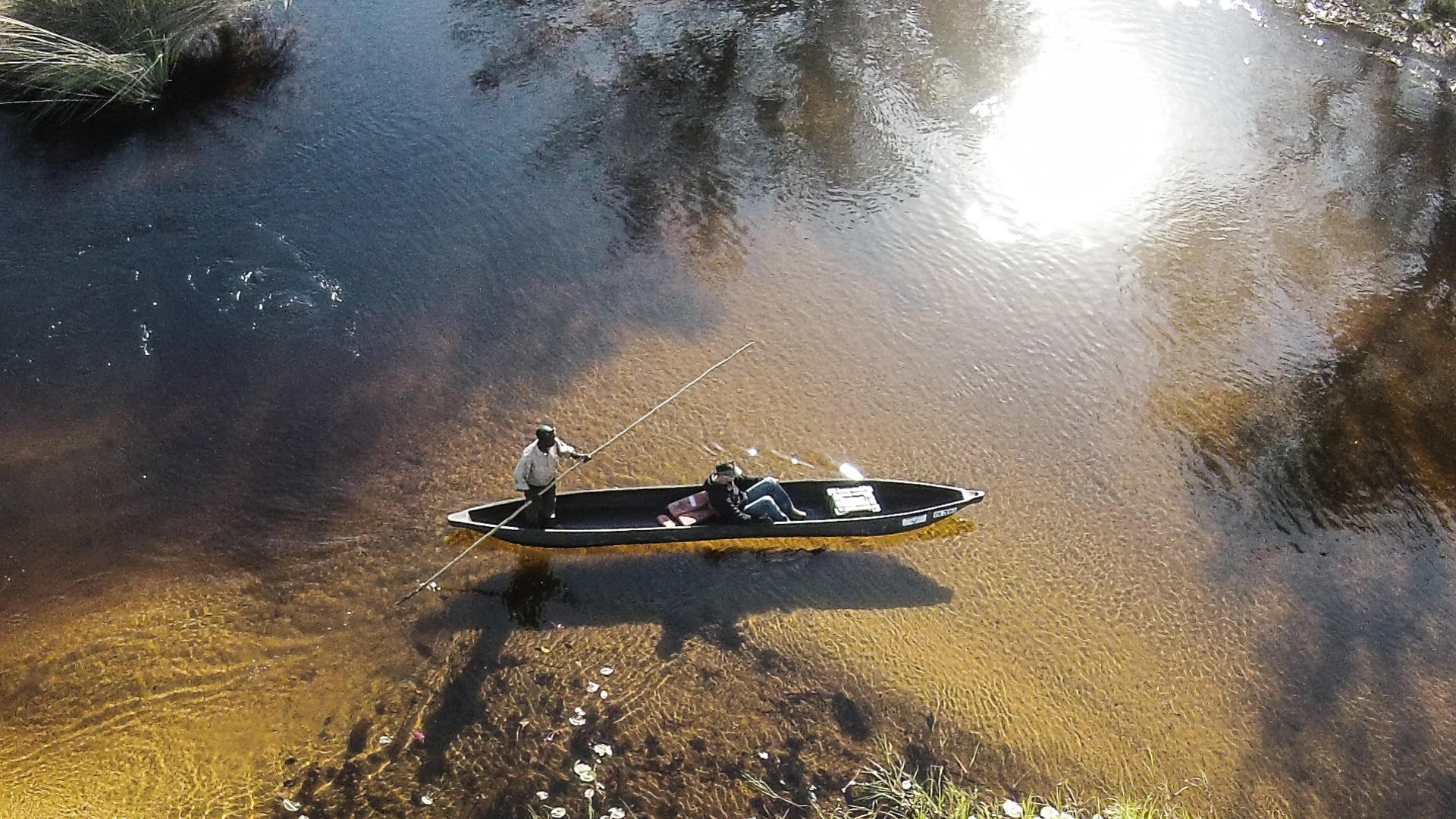 Moremi Crossing
