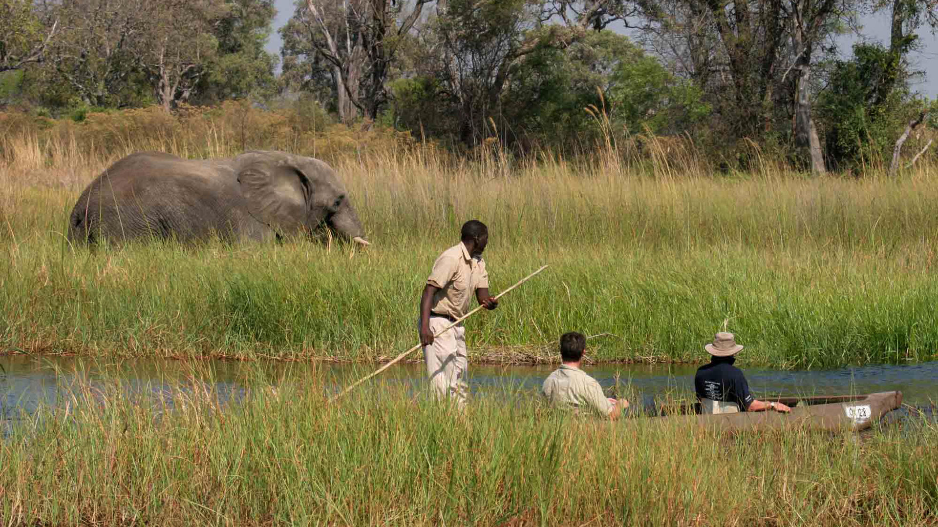 Moremi Crossing