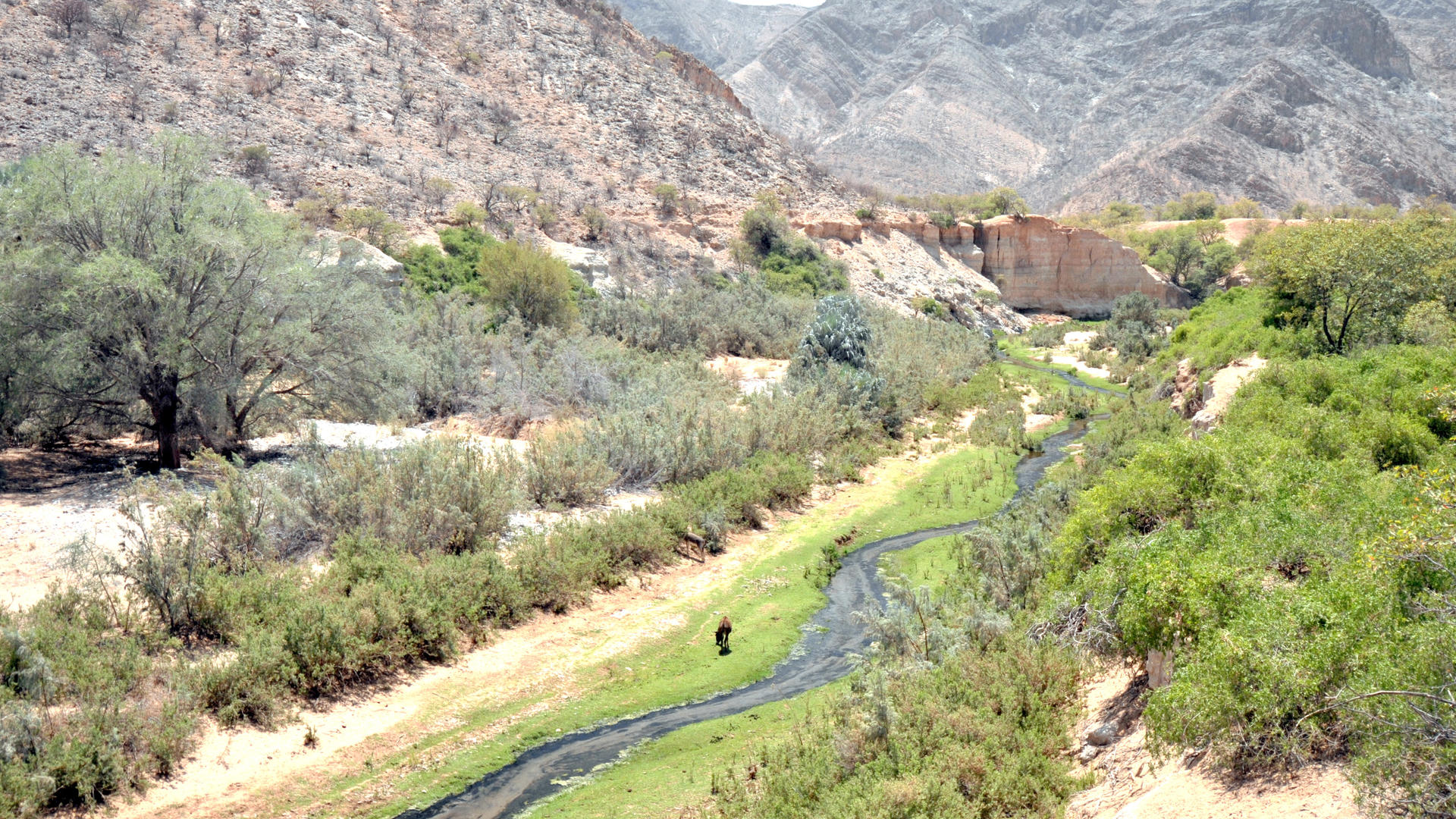 Khowarib Lodge and Safaris