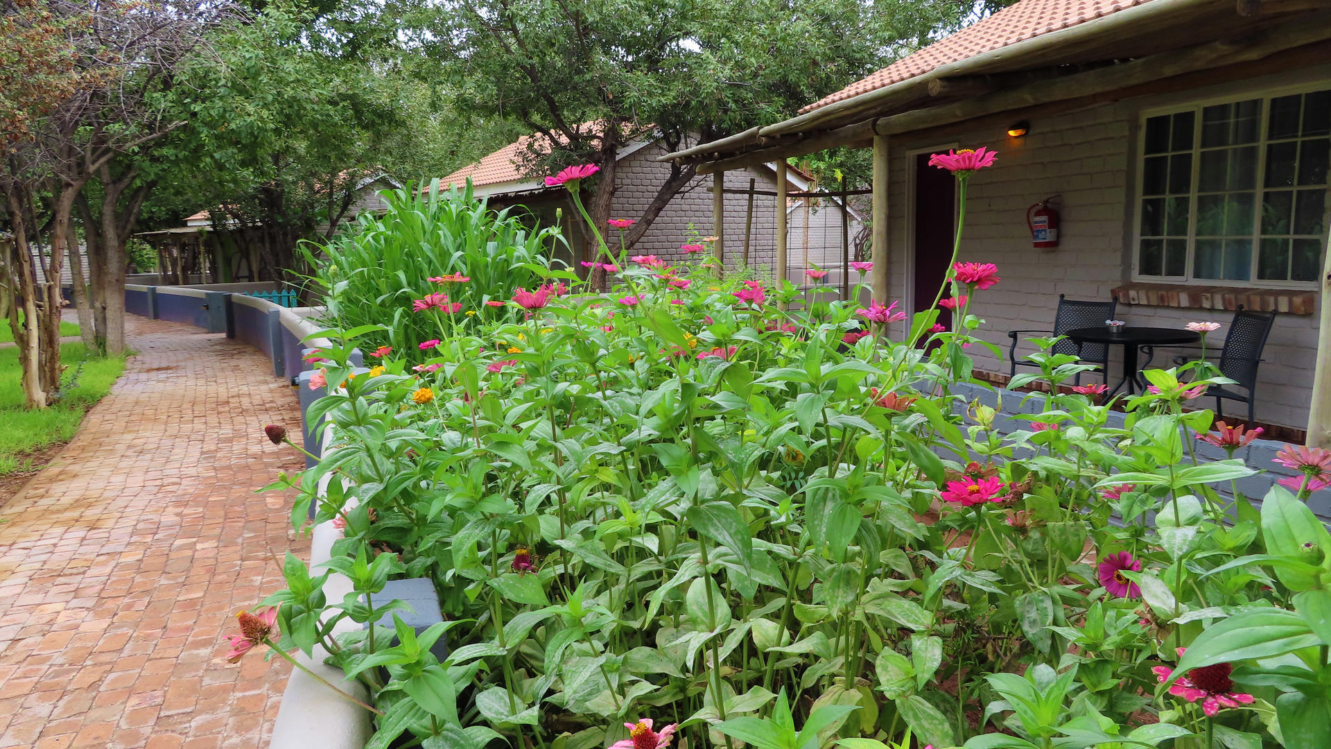 Damara Mopane Lodge