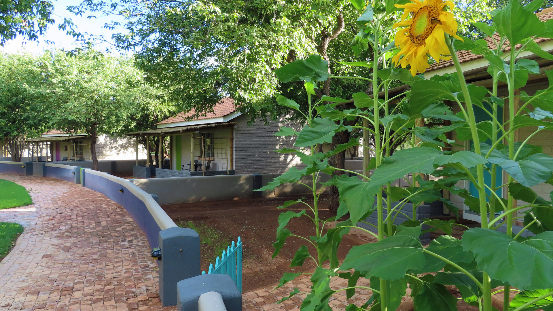 Damara Mopane Lodge