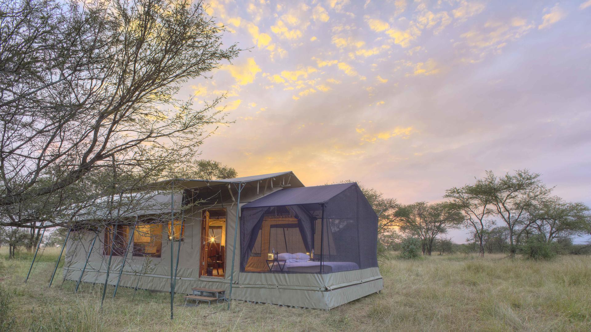 Olakira Migration Camp - North (Jun - Oct) — Family Tent