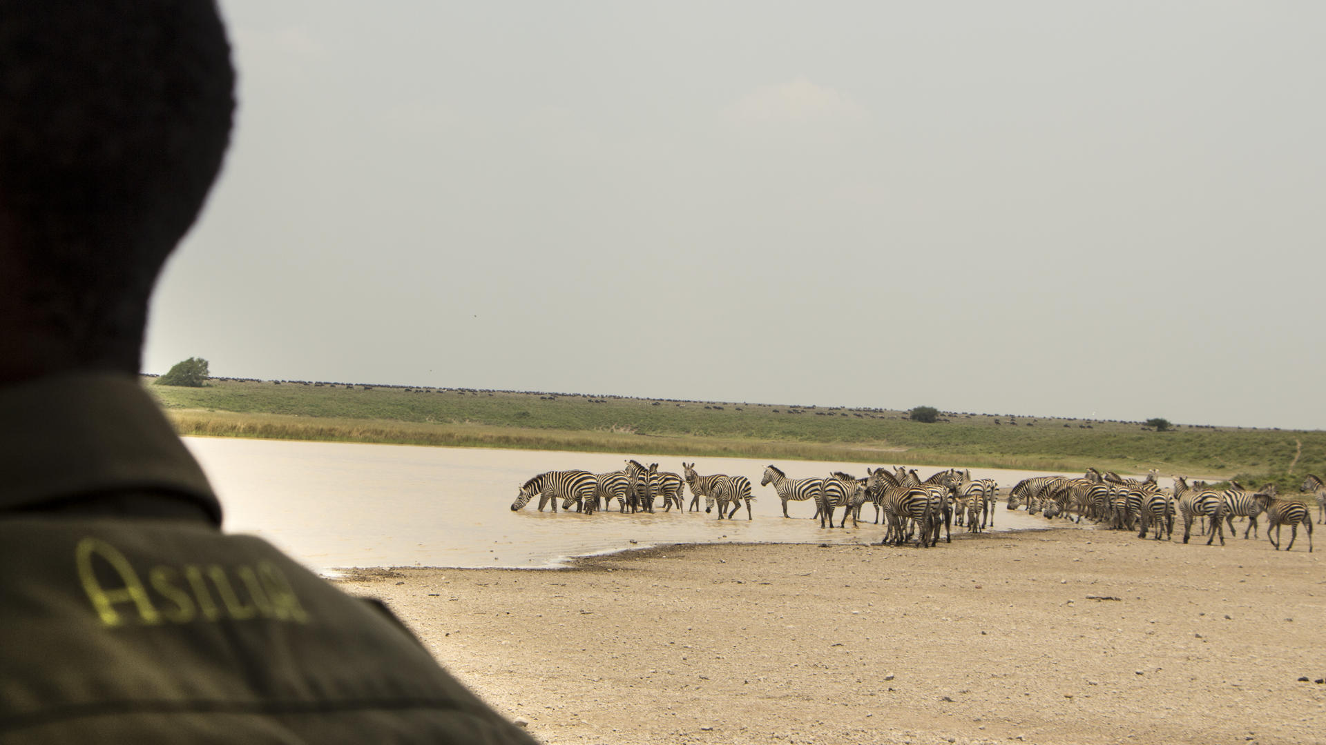 Olakira Migration Camp - North (Jun - Oct)