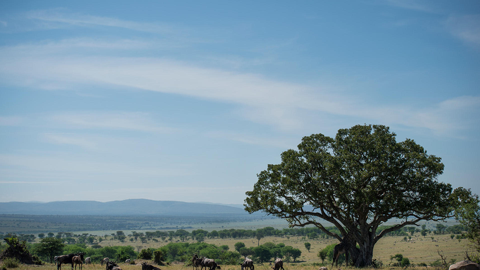 Olakira Migration Camp - North (Jun - Oct)