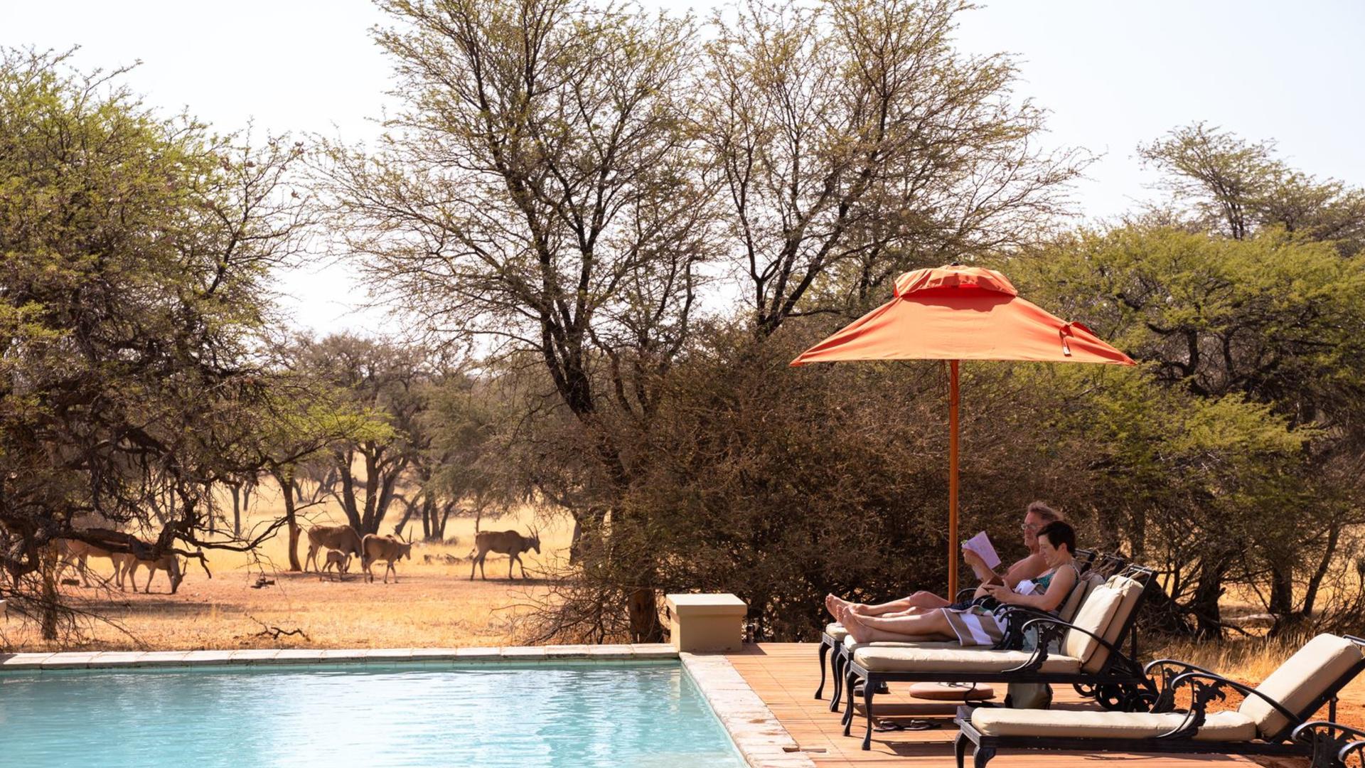 Zebra Kalahari Lodge & Spa — view 1
