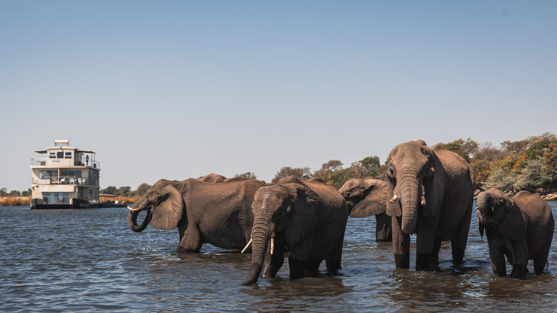 Chobe Princess