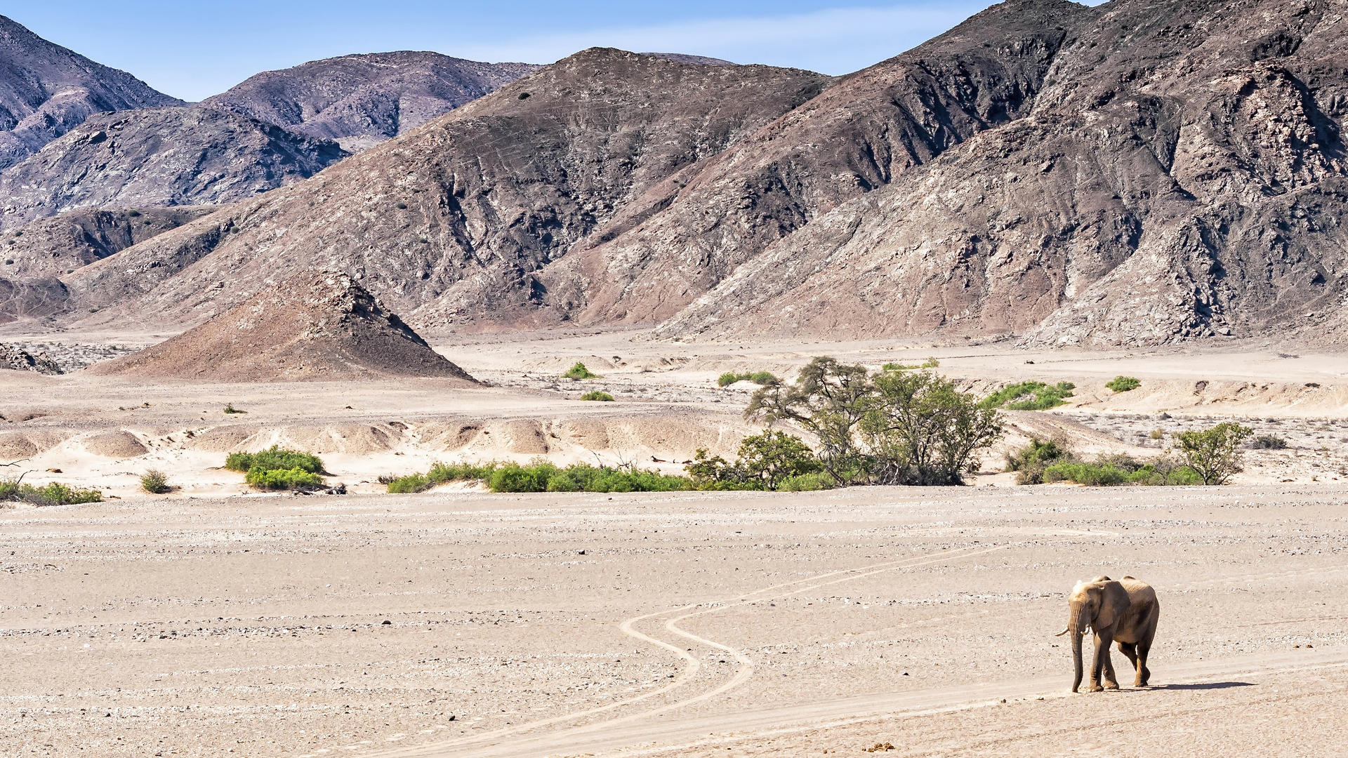 Highlights of Namibia — Luxury Fly-In