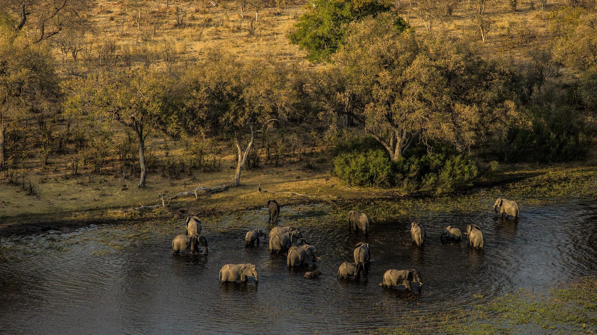 Selinda Explorers Camp