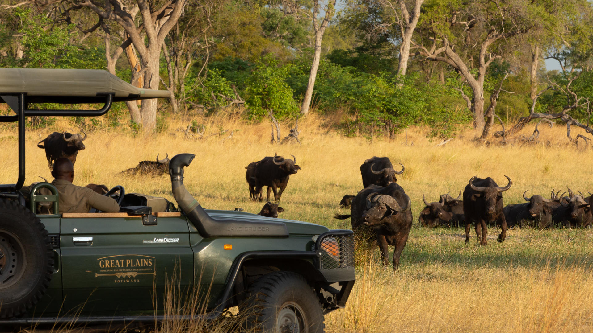 Selinda Explorers Camp