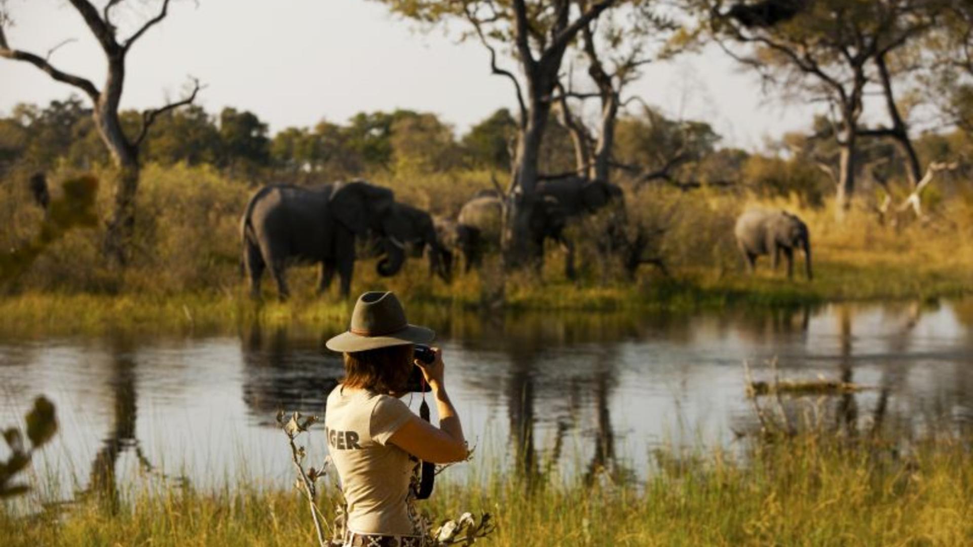 Selinda Explorers Camp