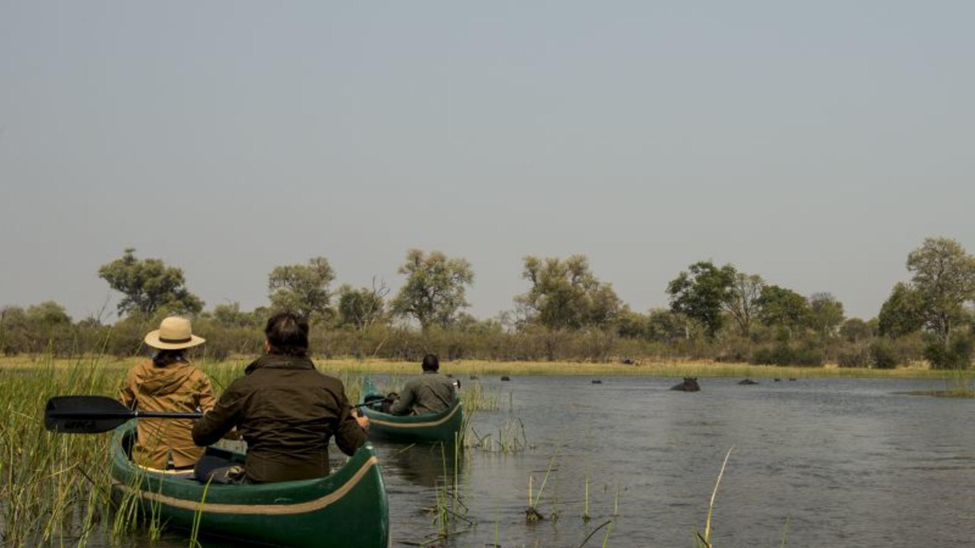 Selinda Explorers Camp