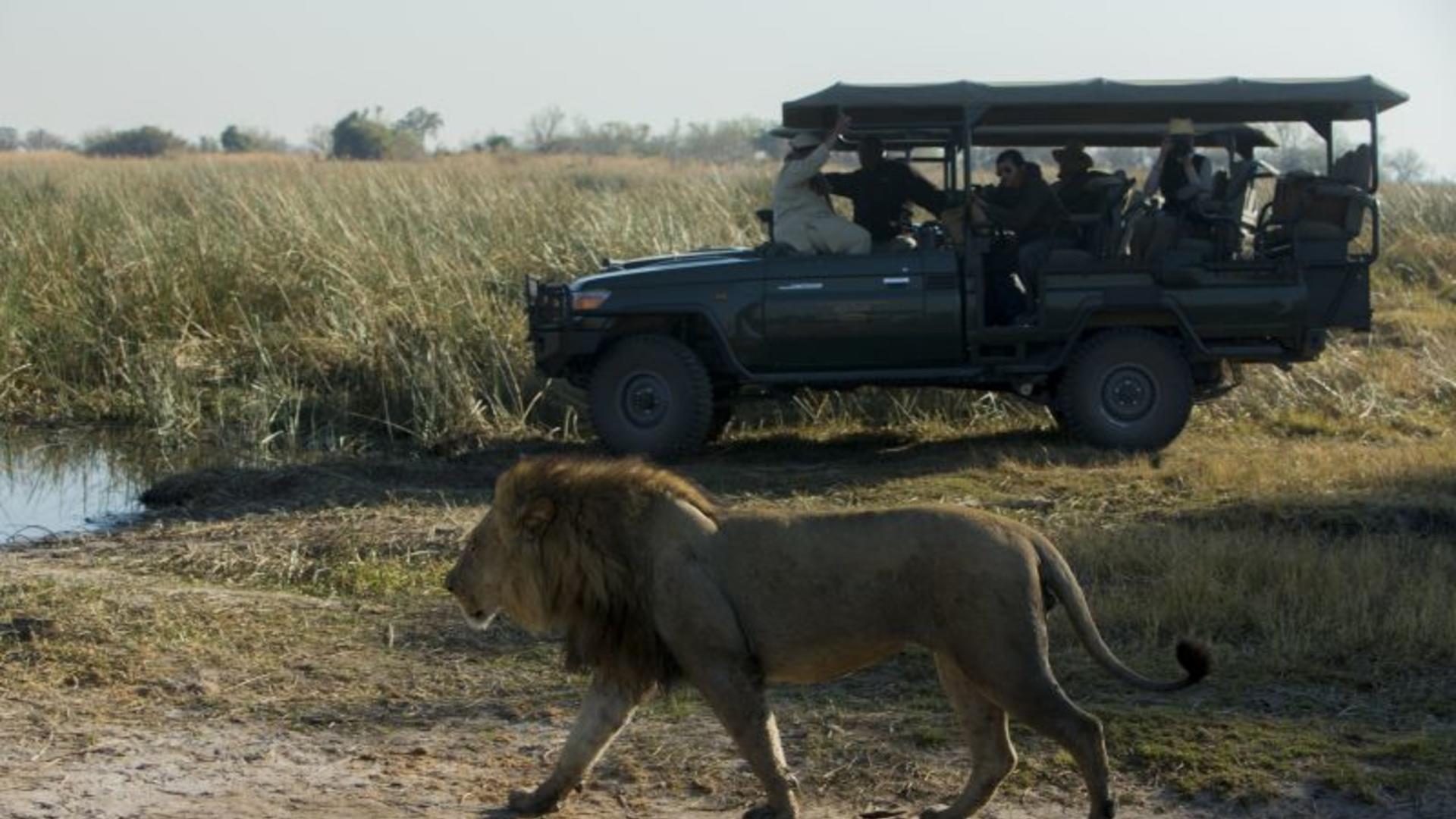 Selinda Explorers Camp