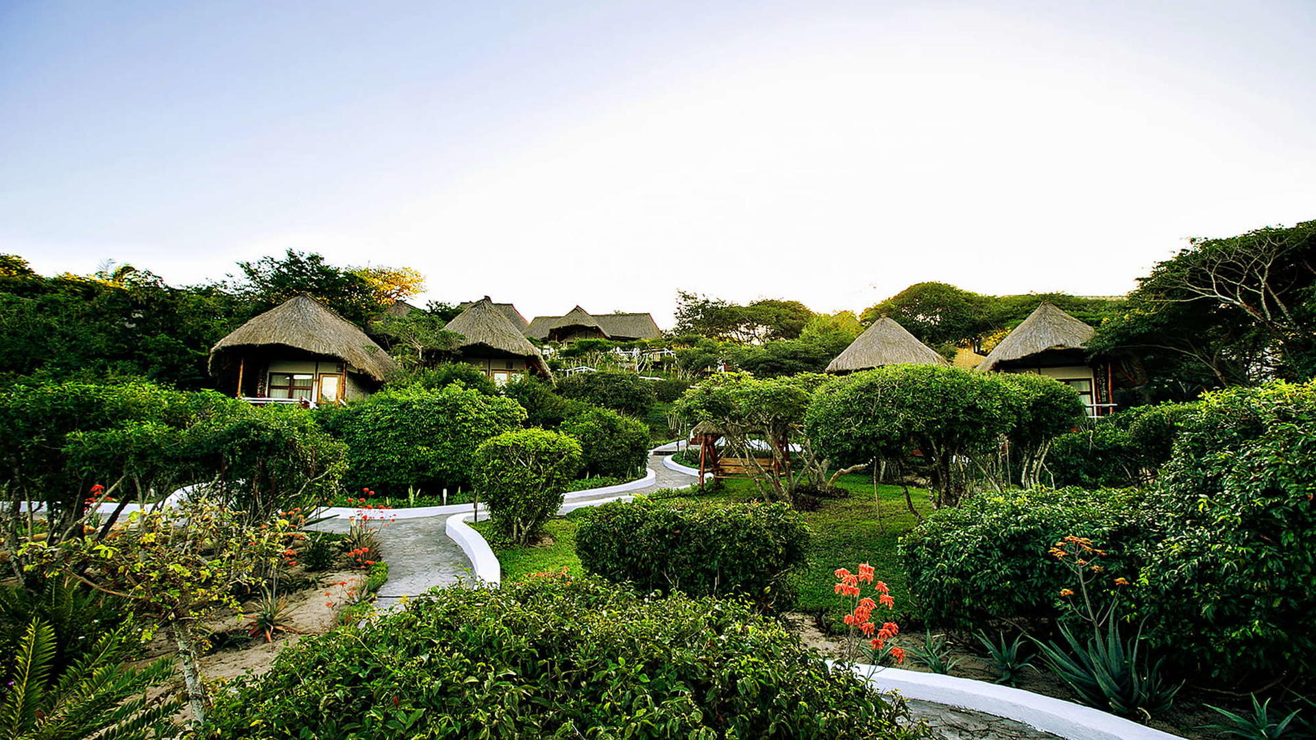 Beach Lodge