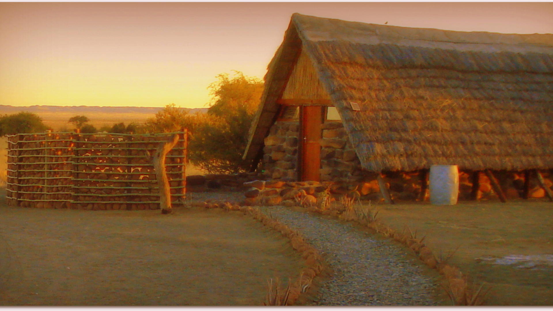 Mesosaurus Fossil Camp