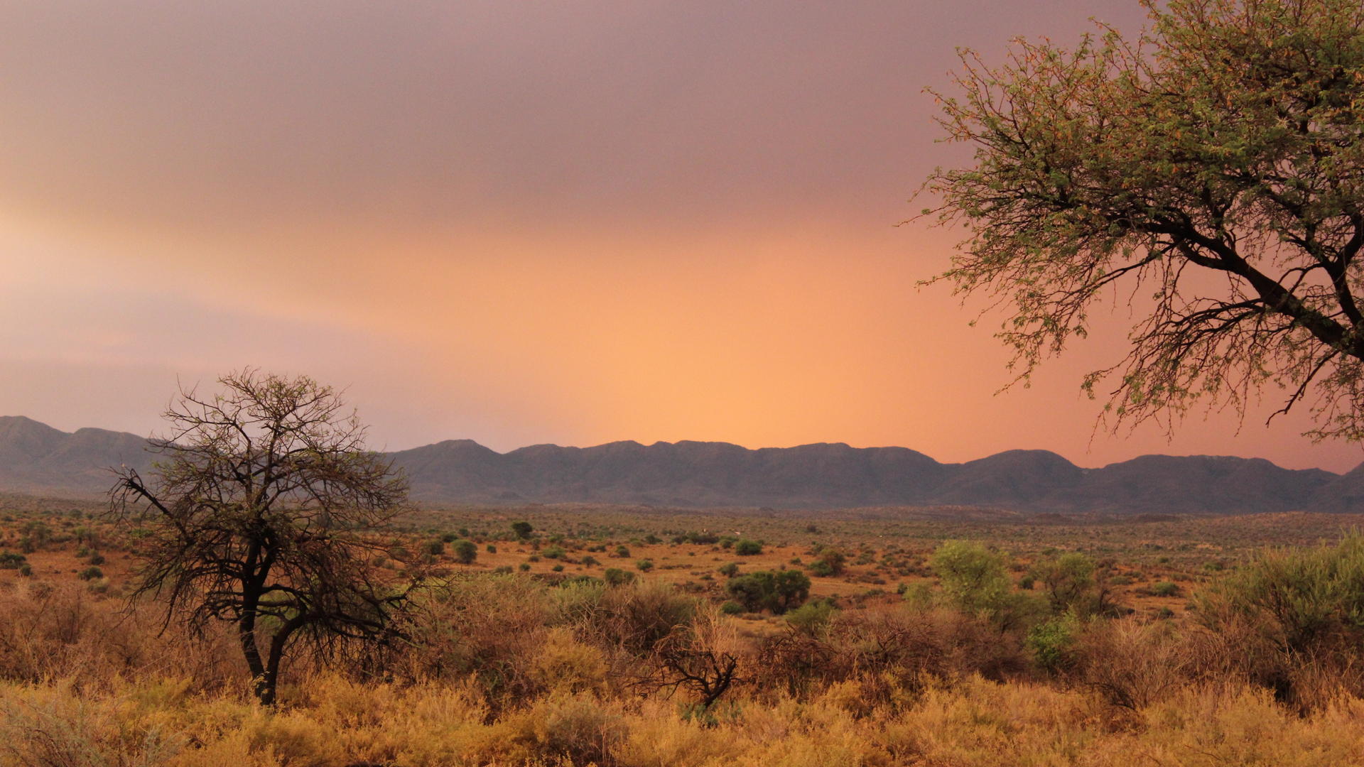 Auas Safari Lodge