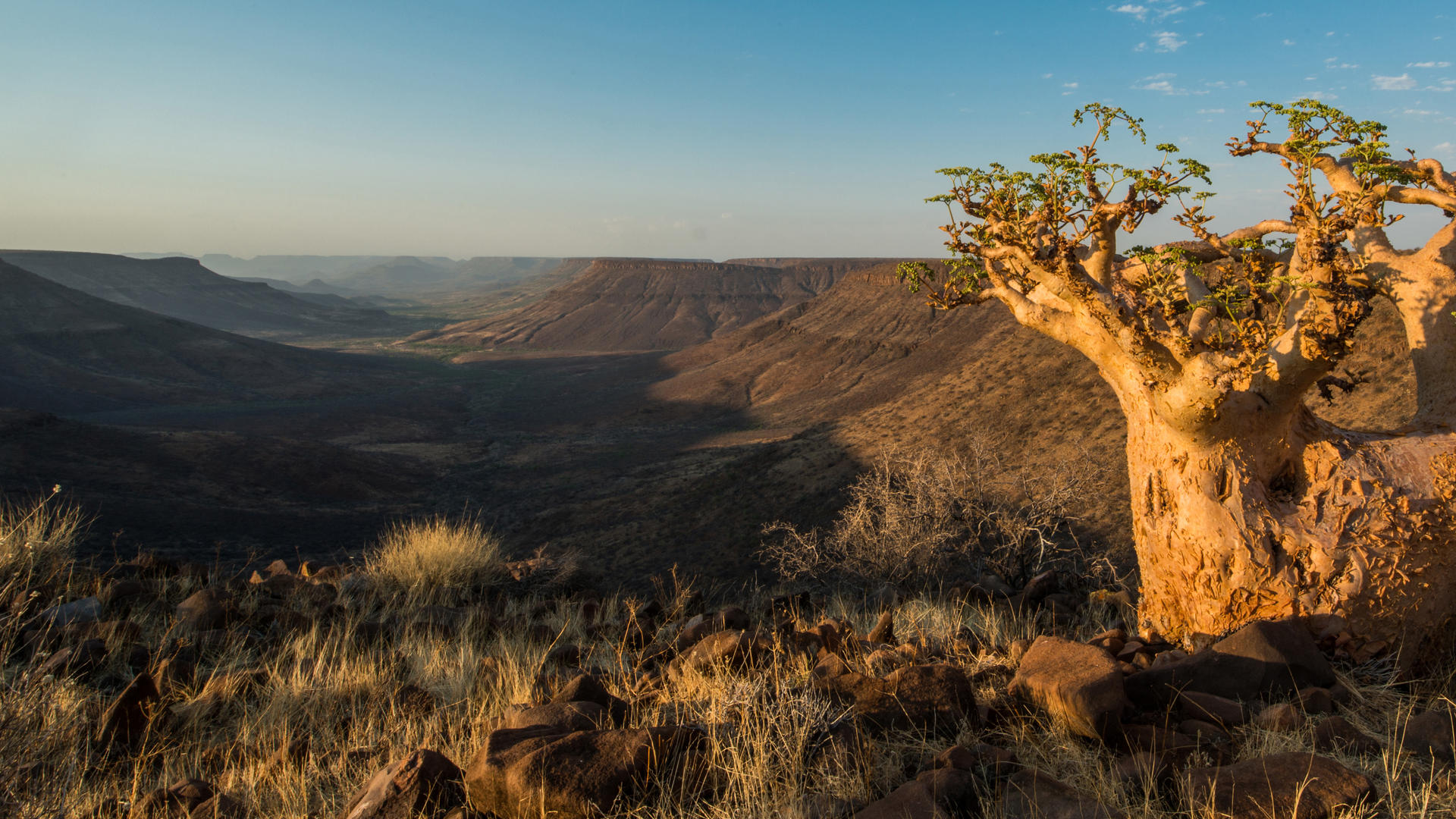 Etendeka Mountain Camp