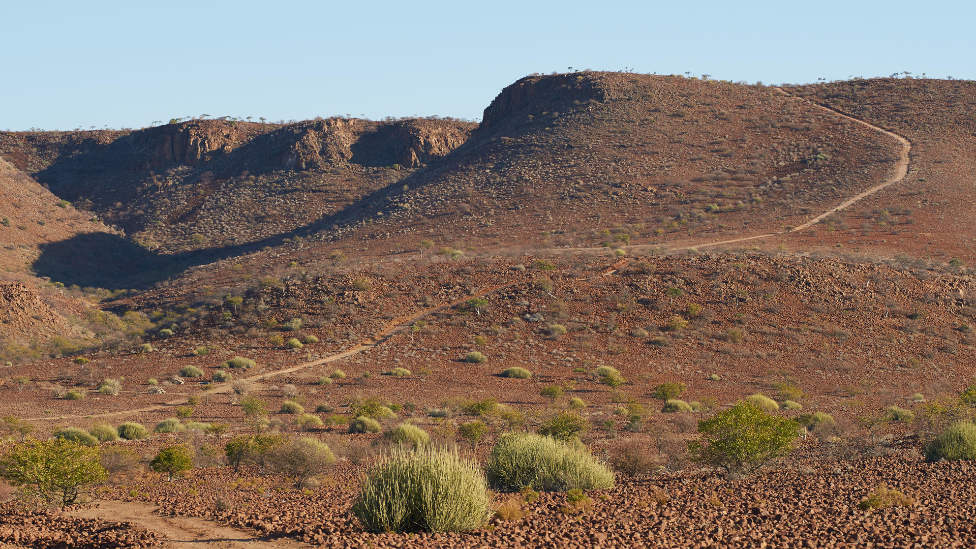 Etendeka Mountain Camp