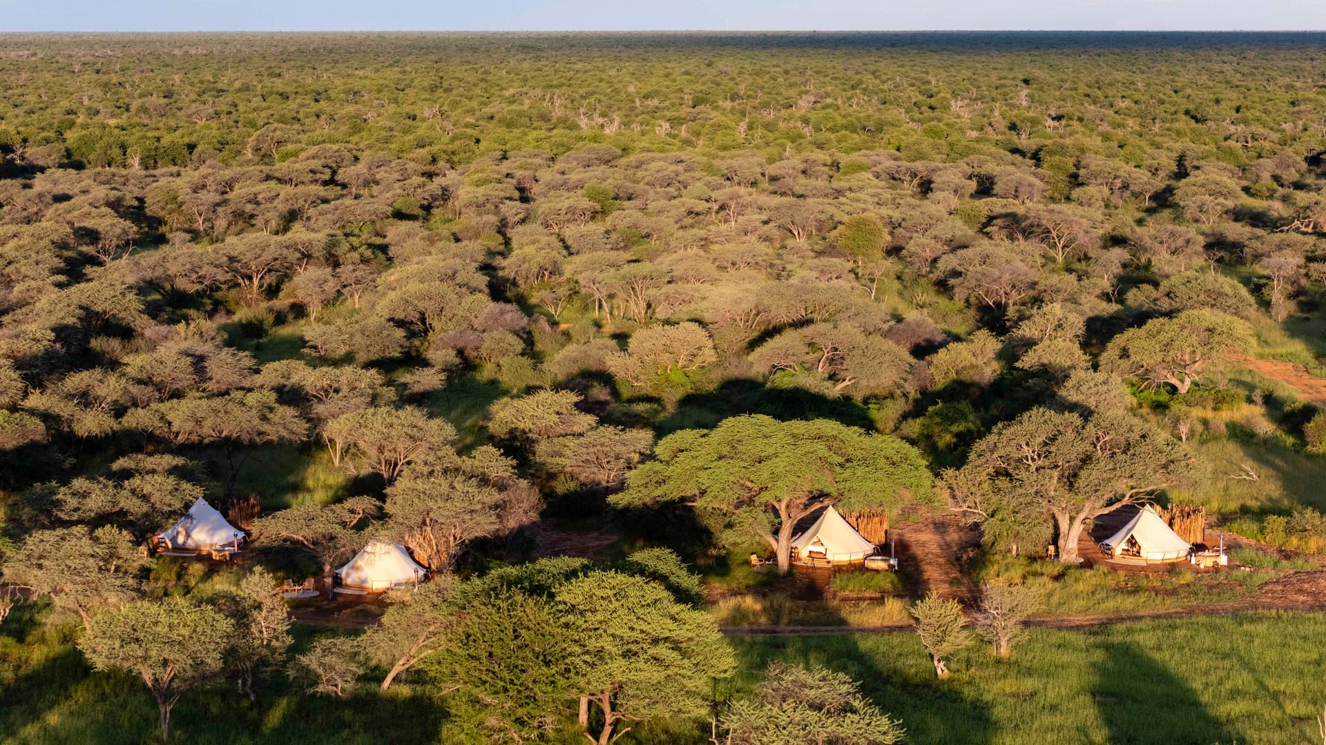 Onguma Trails Camp